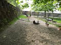 Afb_20160715 (11)